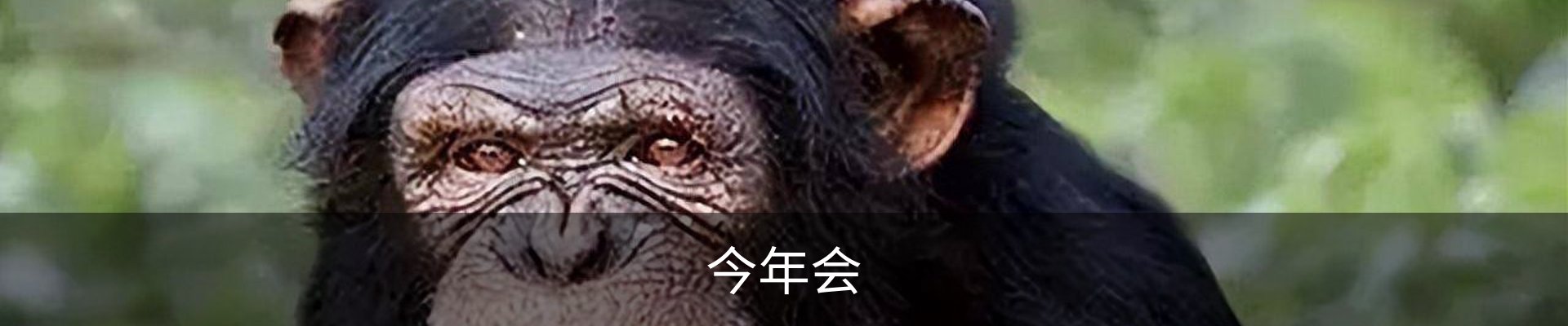 今年会·jinnianhui(中国)认证官网今年会